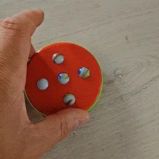 Spin-a-Roo: Ultimate 3D-Printed Disc with Marbles